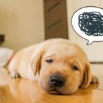 中国語学習 挫折しかけているかも…